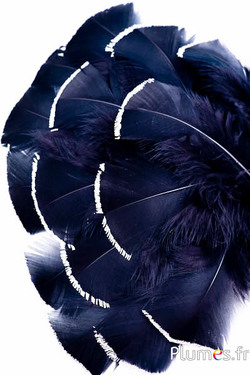 Dinde avec paillettes argentées - 6-8 cm - noir
